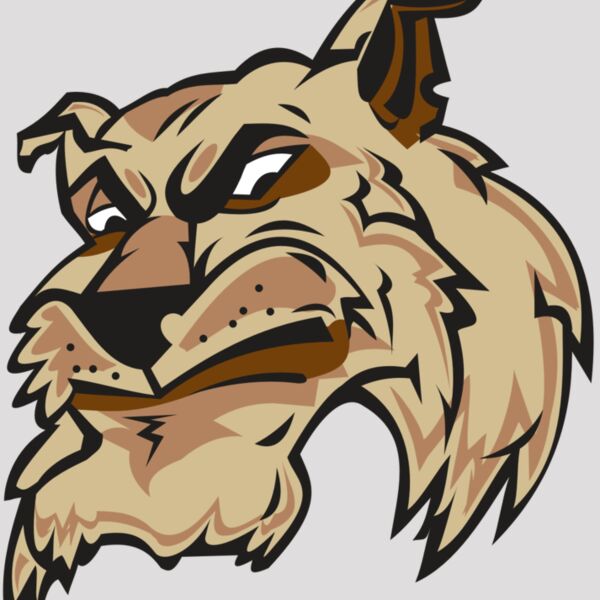 WILDCAT HD0501 RQC Thumbnail