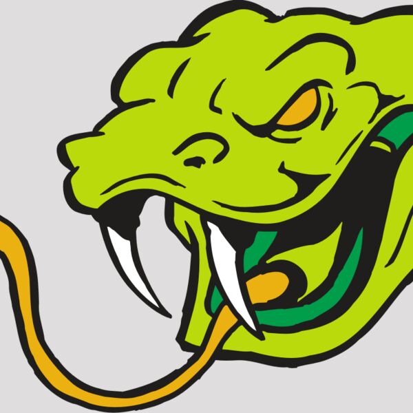 AR SNAKE 11 RC Thumbnail