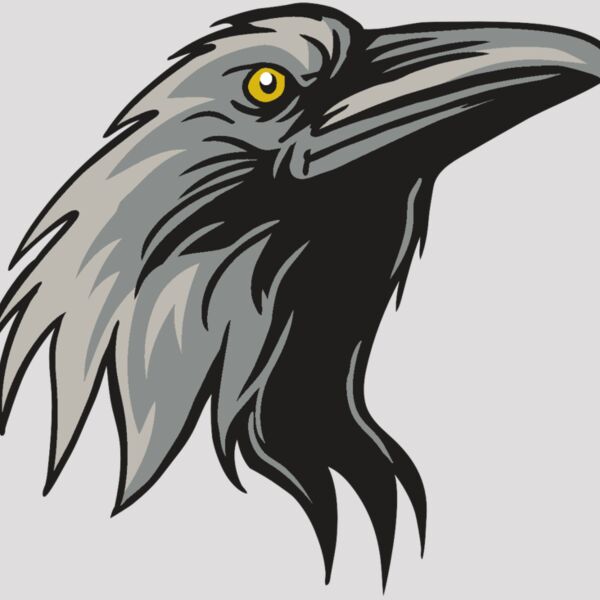 AR31 RAVEN 01 RQC Thumbnail