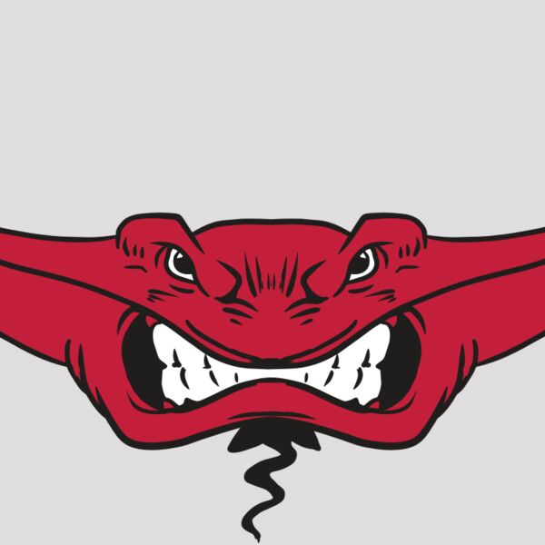 AR19 STINGRAY 03 RQC Thumbnail