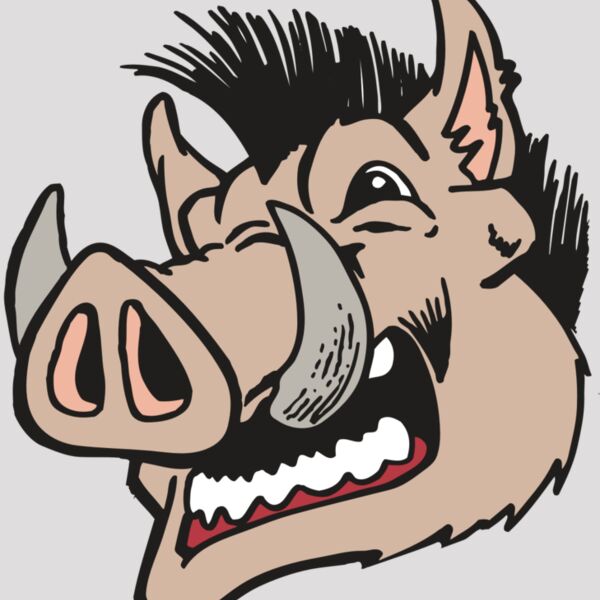 AR RAZORBACK 18 RC Thumbnail