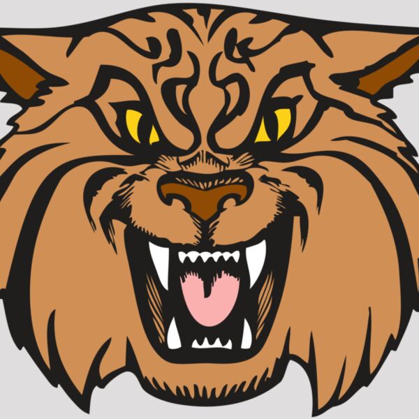 BAW WILDCAT 04 RC Thumbnail