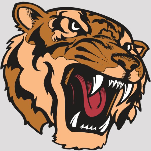 BAW TIGER 07 RC Thumbnail