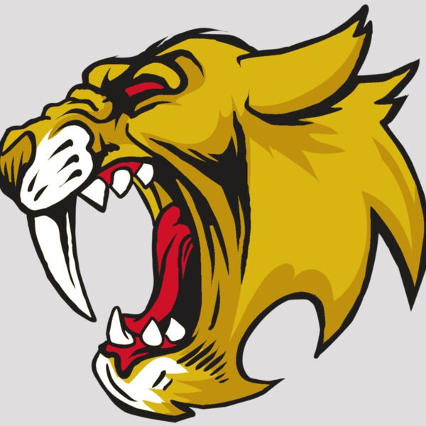 AR30 SABER 04 RQC Thumbnail