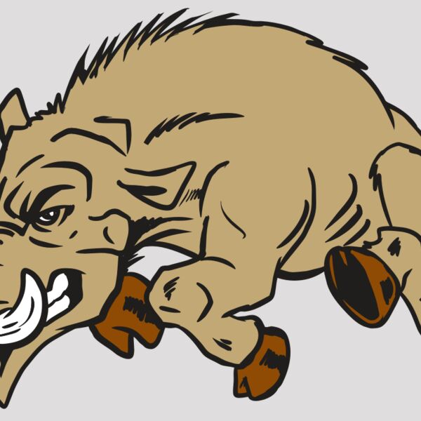 AR20 RAZORBACK 37 RQC Thumbnail