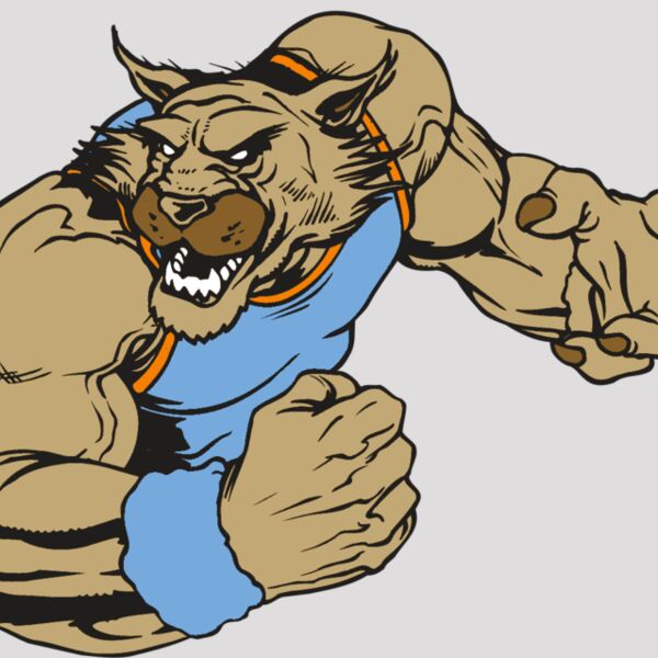 AR WILDCAT 46 RC Thumbnail