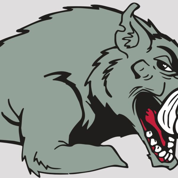 AR RAZORBACK 14 RC Thumbnail