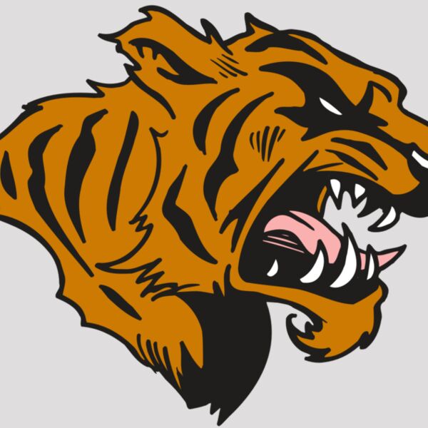 AR5 TIGER 08 RQC Thumbnail