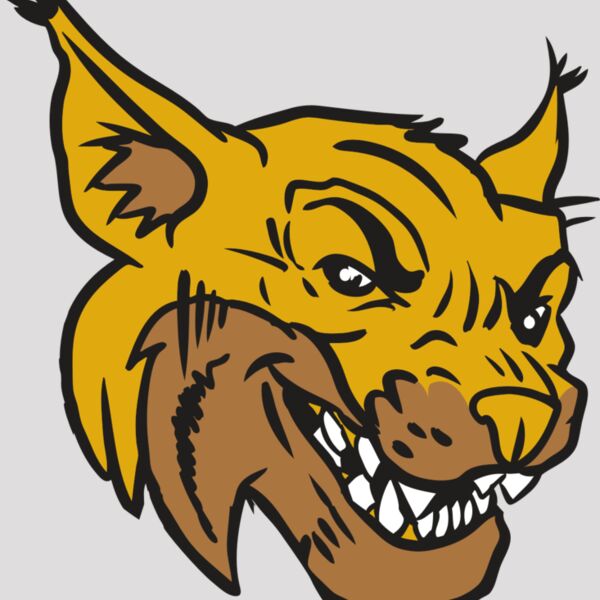 AR15 WILDCAT 01 RQC Thumbnail