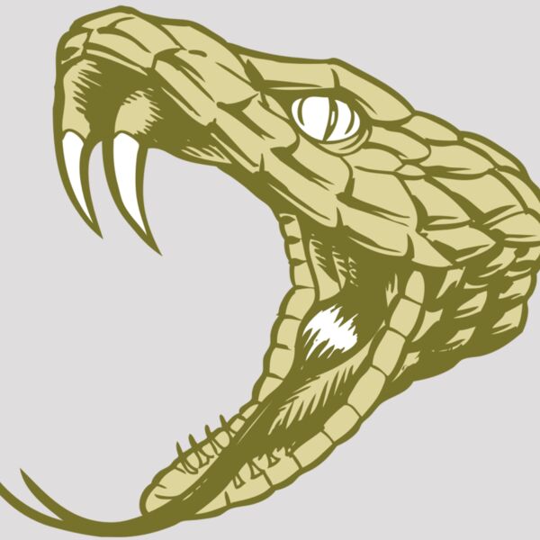 BAW SNAKE 11 RC Thumbnail