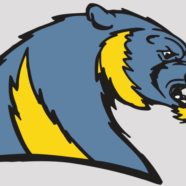 AR5 Wolverine 20 RQC Thumbnail