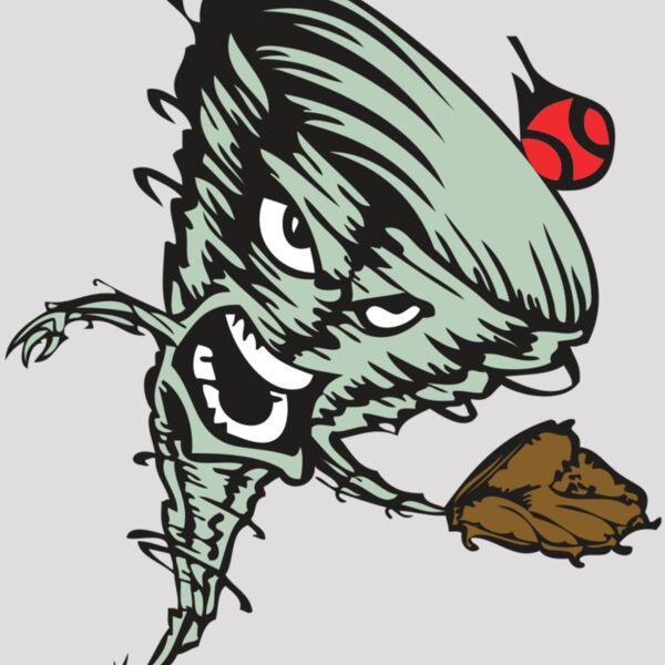 BAW STORM 09 RC Thumbnail