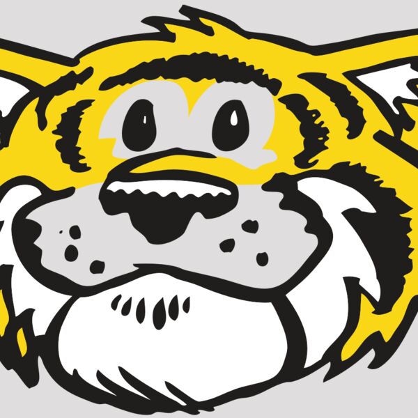 AR TIGER 90 RC Thumbnail