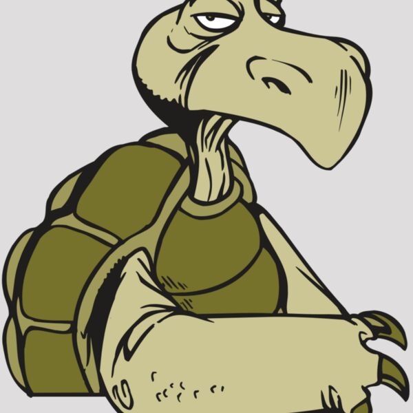 AR5 Turtle 01 RQC Thumbnail