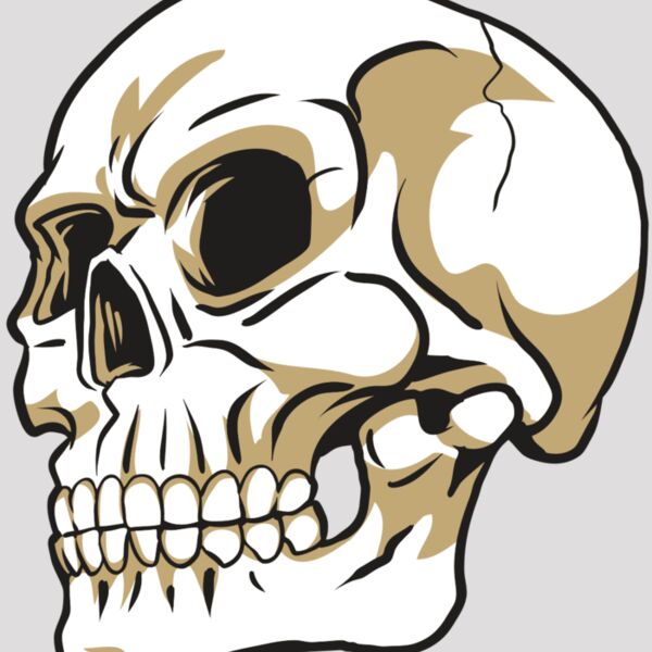 AR24 SKULL 08 RQC Thumbnail