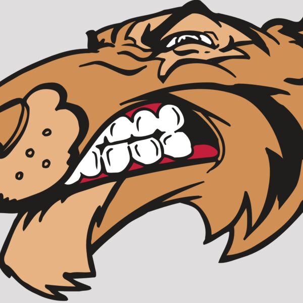 AR5 Tiger 13 RQC Thumbnail