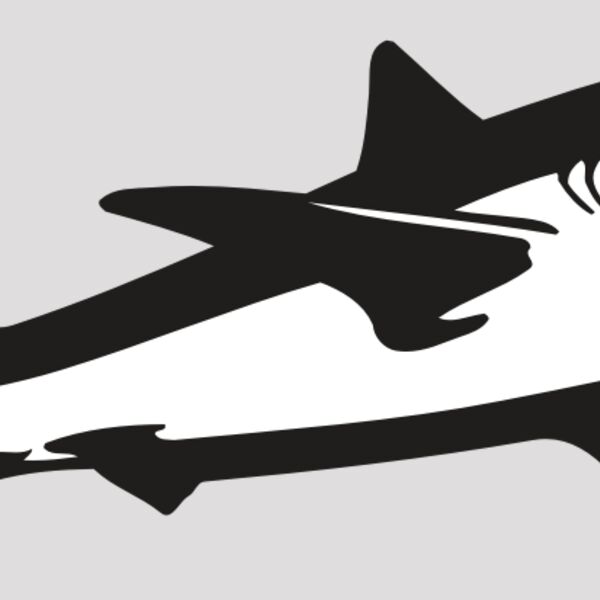 AR5 Shark 15 RQC Thumbnail