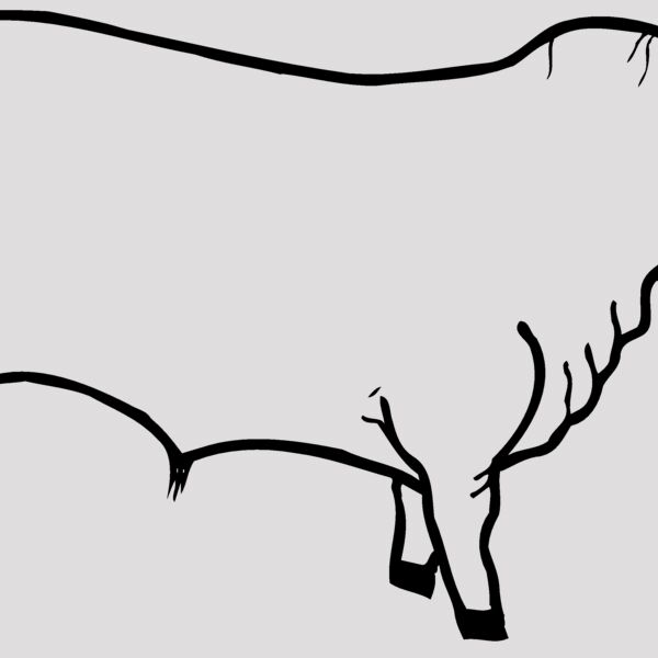 COW001 Thumbnail