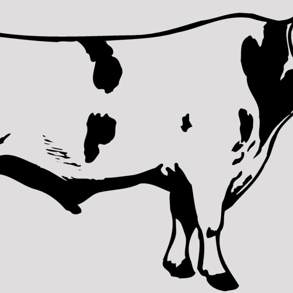 COW020 Thumbnail