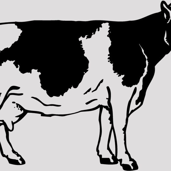 COW024 Thumbnail