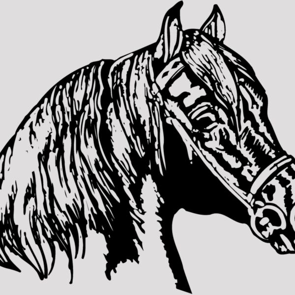 HORSE002 Thumbnail