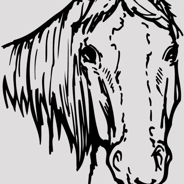 HORSE004 Thumbnail