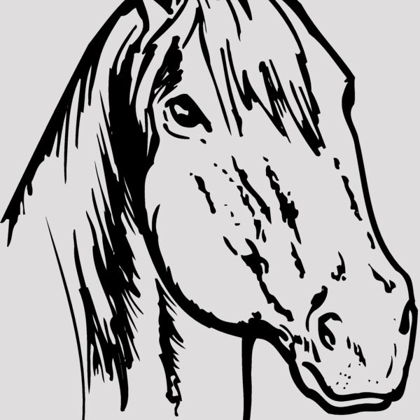 HORSE011 Thumbnail
