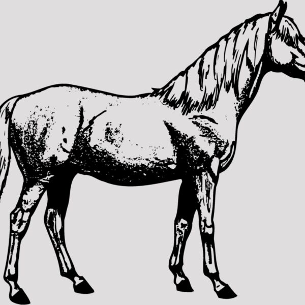 HORSE013 Thumbnail
