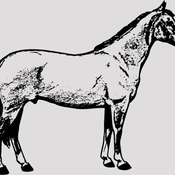 HORSE020 Thumbnail
