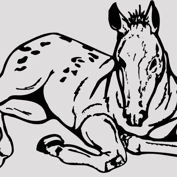 HORSE042 Thumbnail