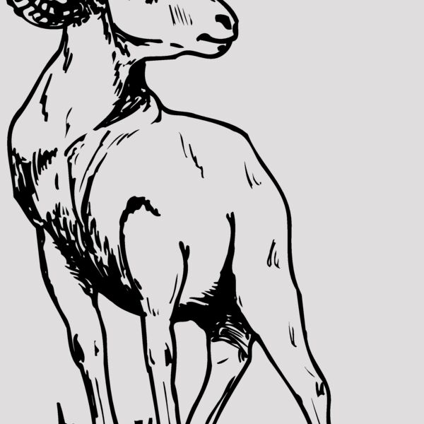RAM008 Thumbnail