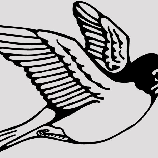 BIRD039 Thumbnail