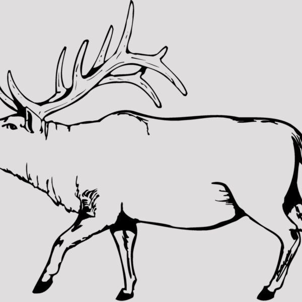 DEER004 Thumbnail