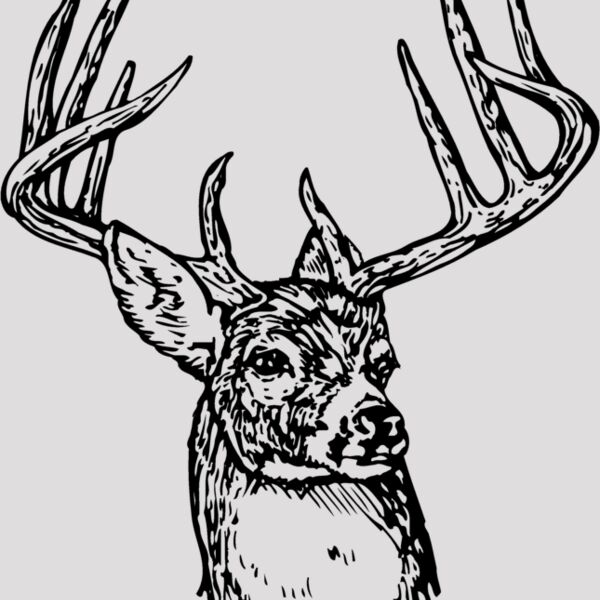 DEER006 Thumbnail