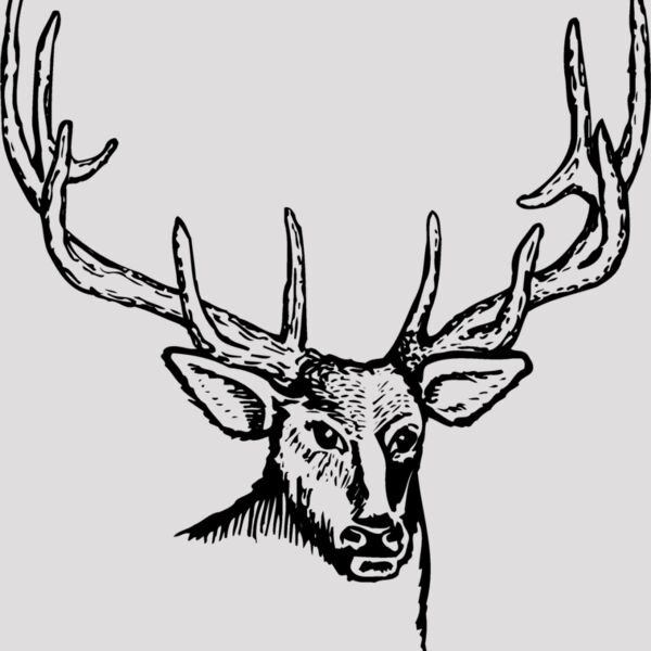 DEER007 Thumbnail