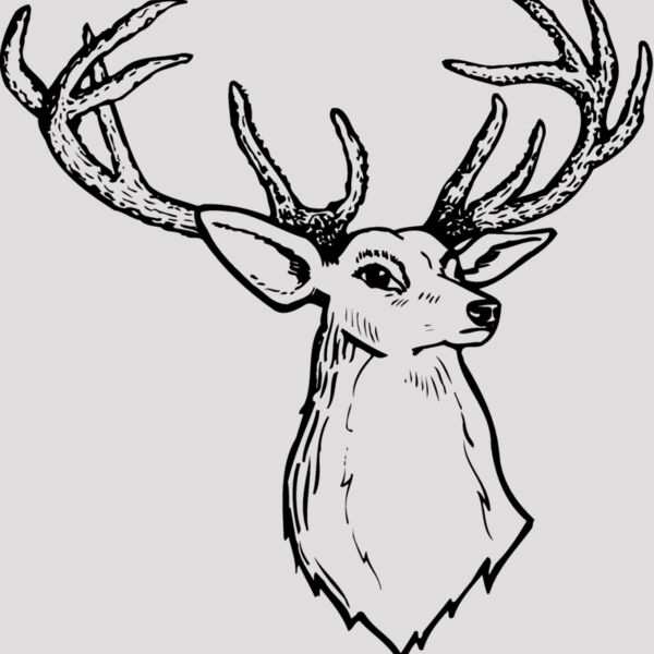 DEER008 Thumbnail