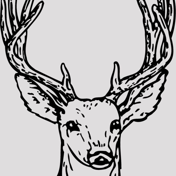 DEER011 Thumbnail