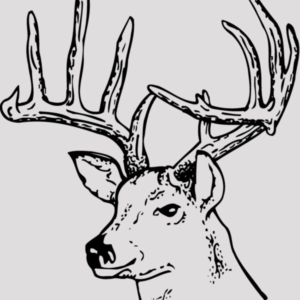 DEER014 Thumbnail
