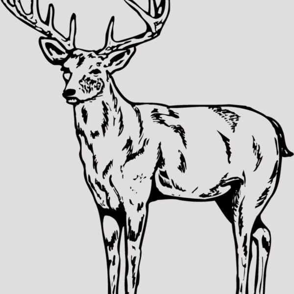 DEER021 Thumbnail