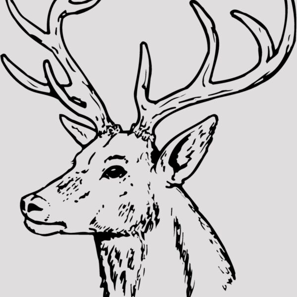 DEER022 Thumbnail