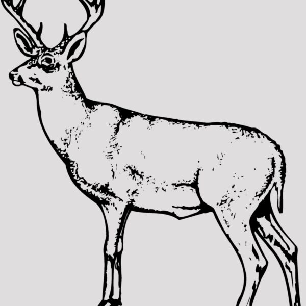 DEER026 Thumbnail