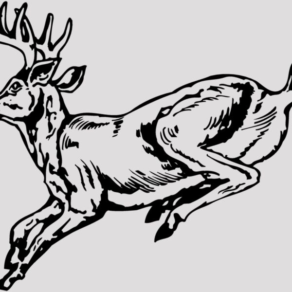 DEER027 Thumbnail