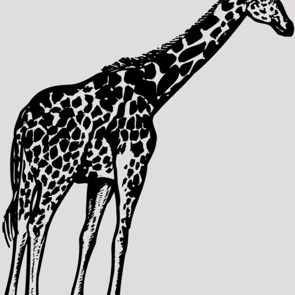 GIRAFF02 Thumbnail