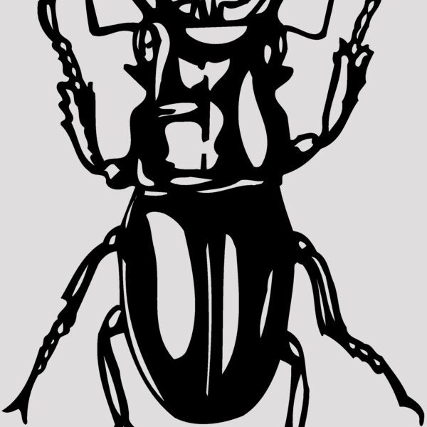 EARWIG Thumbnail