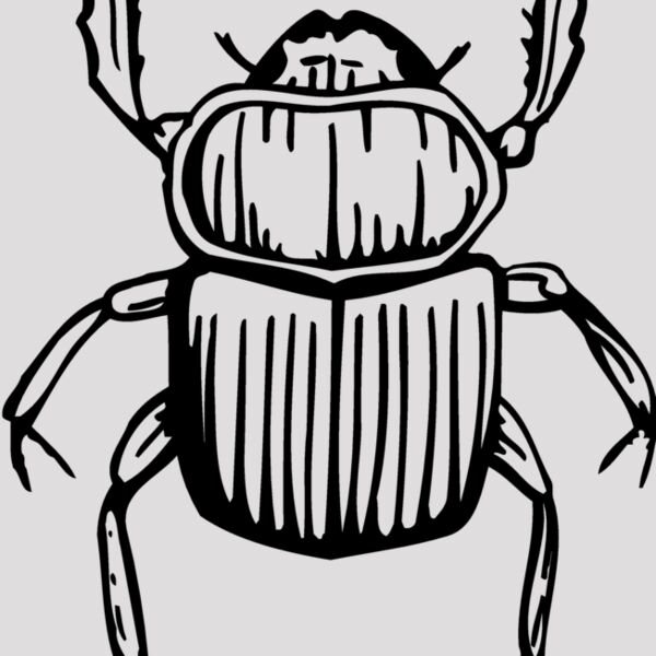 JUNEBUG Thumbnail