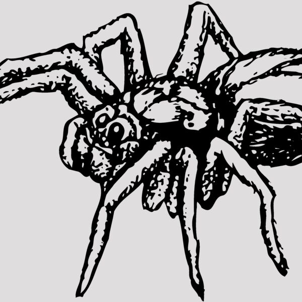 SPIDER04 Thumbnail