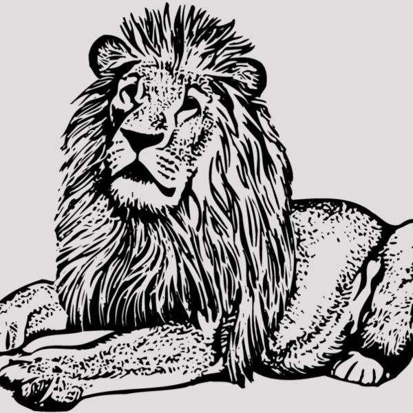 LION004 Thumbnail