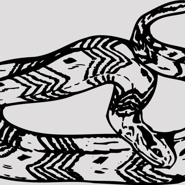 SNAKE002 Thumbnail