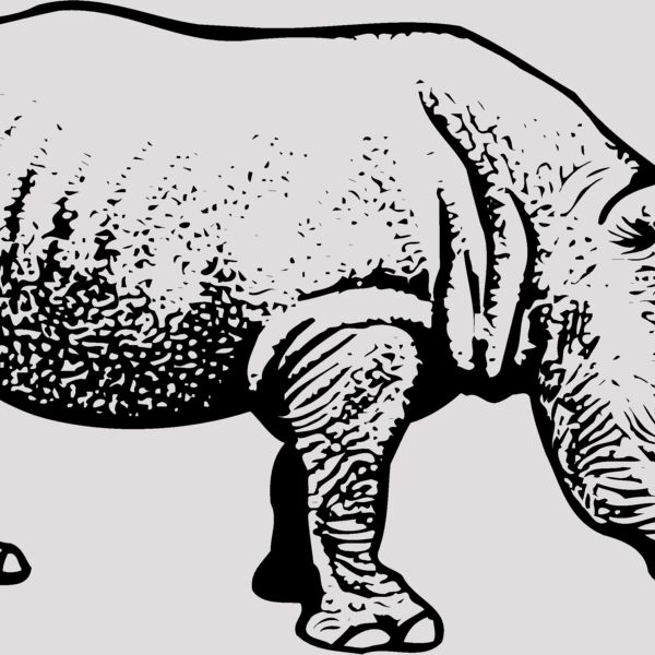 RHINO001 Thumbnail