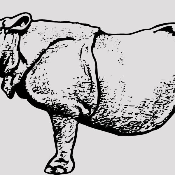 RHINO003 Thumbnail